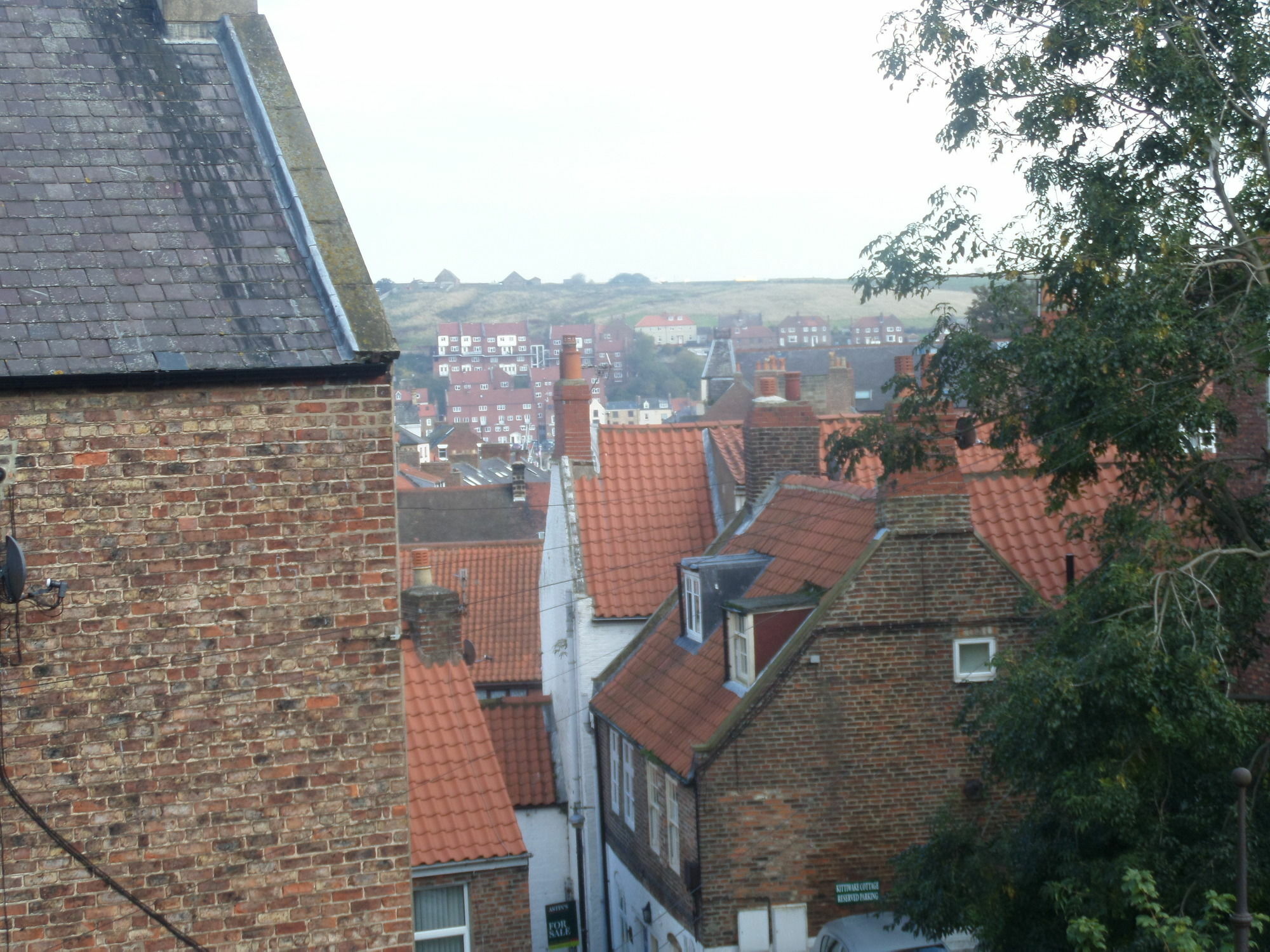 Broomfield House Whitby Zewnętrze zdjęcie